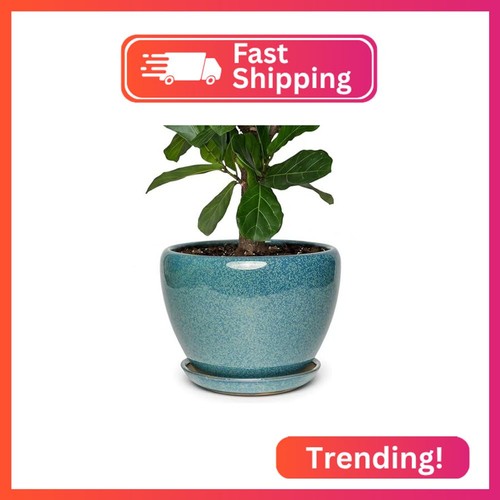 Safiorois inch ceramic - inch,